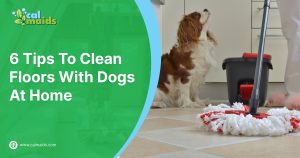 6 Tips To Clean Floors With Dogs At Home