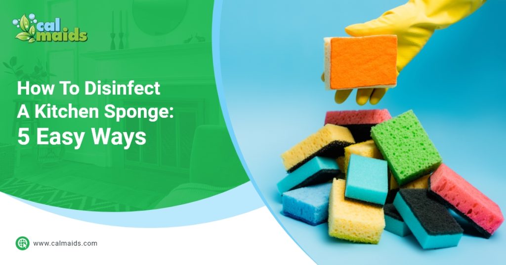 how-to-disinfect-a-kitchen-sponge-5-easy-ways-blog